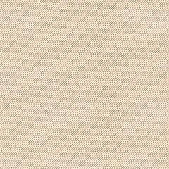 '03 beige Elena Artimo textiles